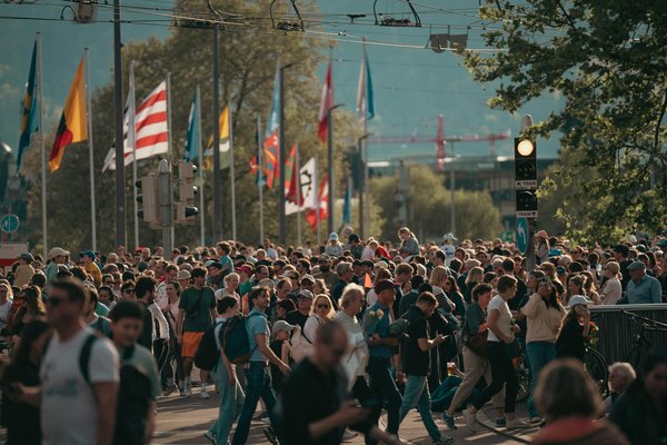 Services d'élagage d'arbres à annecy pour un soin expert